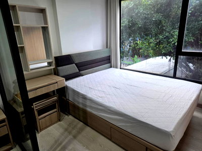คอนโดให้เช่า : ให้เช่าคอนโด Niche Mono Sukhumvit 50 - 29 ตร.ม. - เช่า 12,500 บาท/เดือน [MKr2610003]	