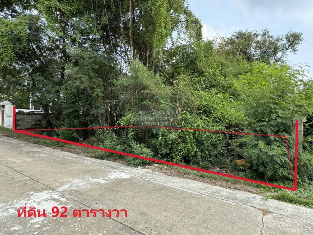 รูป ขายที่ดินเปล่า  บ้านรวมเก้า พุทธมณฑล สาย 2 บางไผ่ เขต บางแค กรุงเทพ CX-178611 ✅ ทักไลน์ @connexproperty ตอบทันที ทีมงานมืออาชีพ ✅ - รูปที่ 1/6