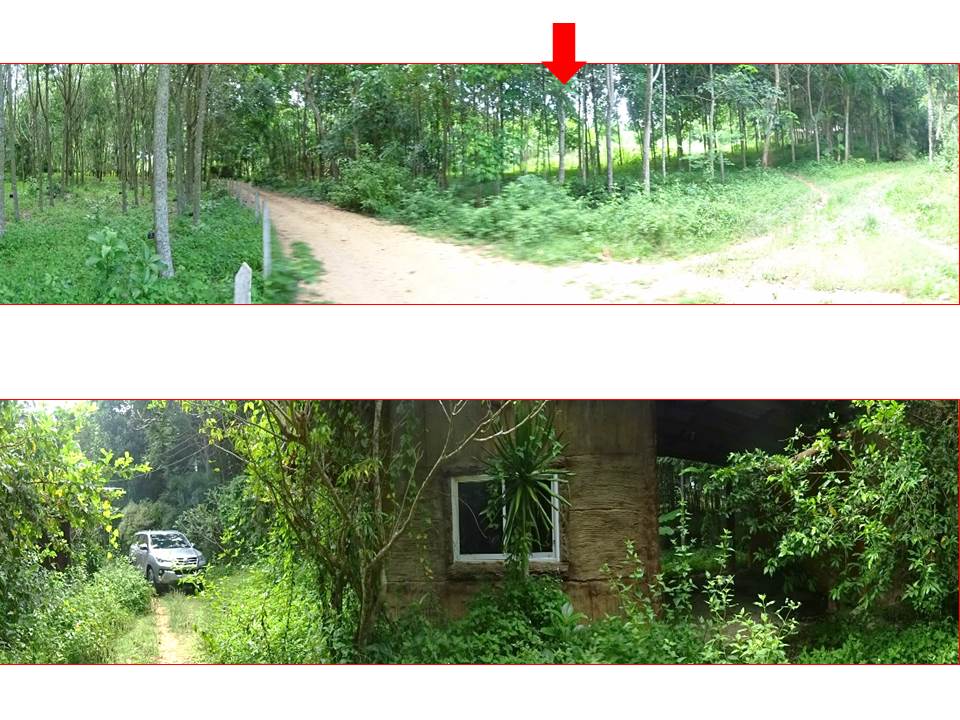 picture HOME 558 Sq.w. Pak Phayun Phatthalung for 1.1M - 5/10