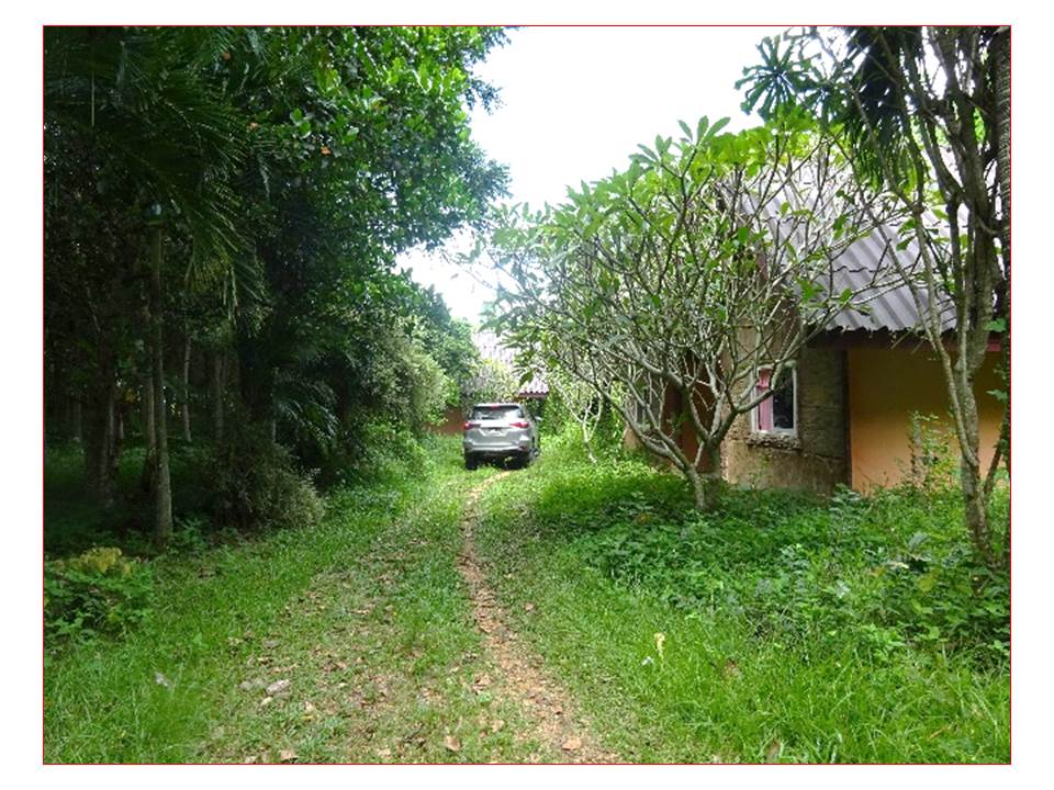 picture HOME 558 Sq.w. Pak Phayun Phatthalung for 1.1M - 6/10
