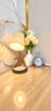listing thumbnail image 12