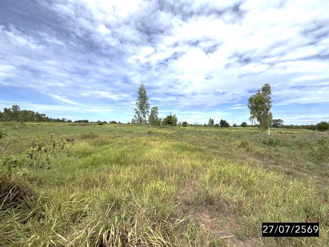 รูป ที่ดินว่างเปล่า 21835 ตร.วา มัญจาคีรี ขอนแก่น 6.6M - รูปที่ 5/19