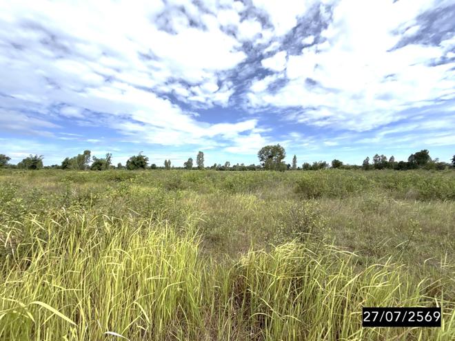 รูป ที่ดินว่างเปล่า 21835 ตร.วา มัญจาคีรี ขอนแก่น 6.6M - รูปที่ 8/19