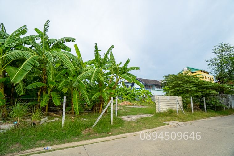 Land for sale, 200 sq wah, Lat Phrao