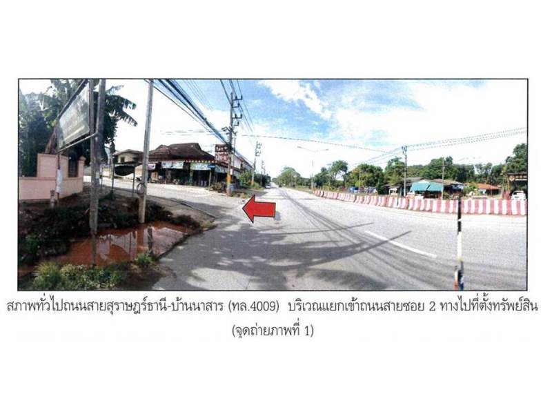 รูป ที่ดินพร้อมสิ่งปลูกสร้าง 25 ตร.วา เมืองสุราษฎร์ธานี สุราษฎร์ธานี 1.6M - รูปที่ 2/8