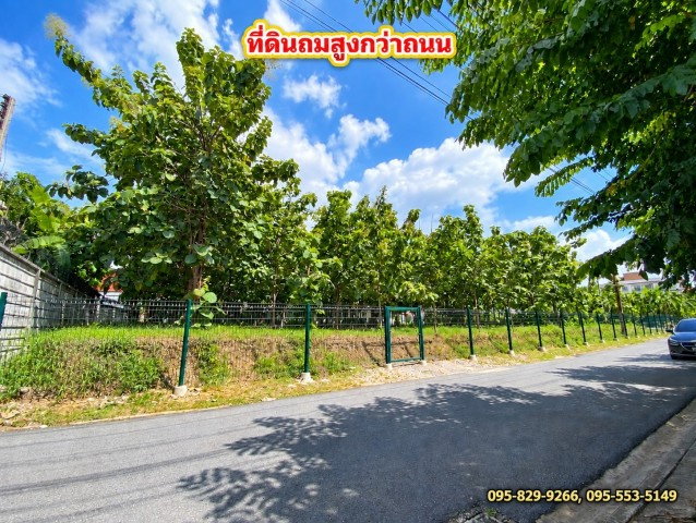 รูป ขายที่ดินถมสูงกว่าถนน น้ำไม่ท่วมที่ดิน 1-3- 57 ไร่ สรงประภา 11  ล้อมรั้วแล้ว เข้าซอยเพียง 240 ม. ทำเลดี ใกล้สนามบิน ดอนเมือง กรุงเทพฯ - รูปที่ 2/8