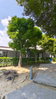listing thumbnail image 23