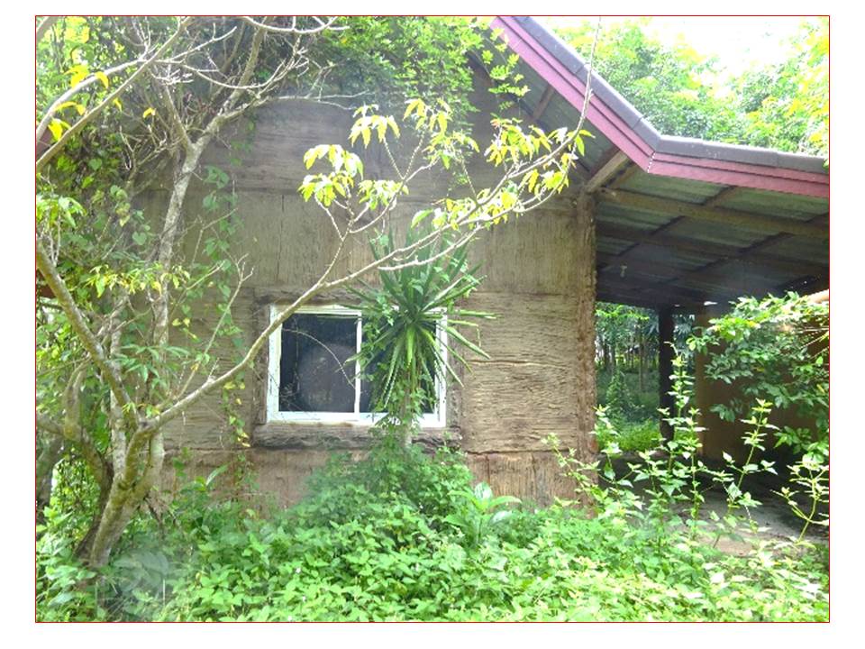 picture HOME 558 Sq.w. Pak Phayun Phatthalung for 1.1M - 7/10