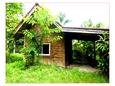 Houses for sale Phatthalung : HOME 558 Sq.w. Pak Phayun Phatthalung for 1.1M