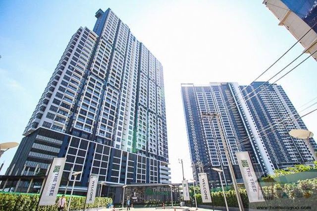 picture The Tree Interchange 2 Bedroom 2 Bathroom size 63 Sq.m. (For Rent) - 29/30