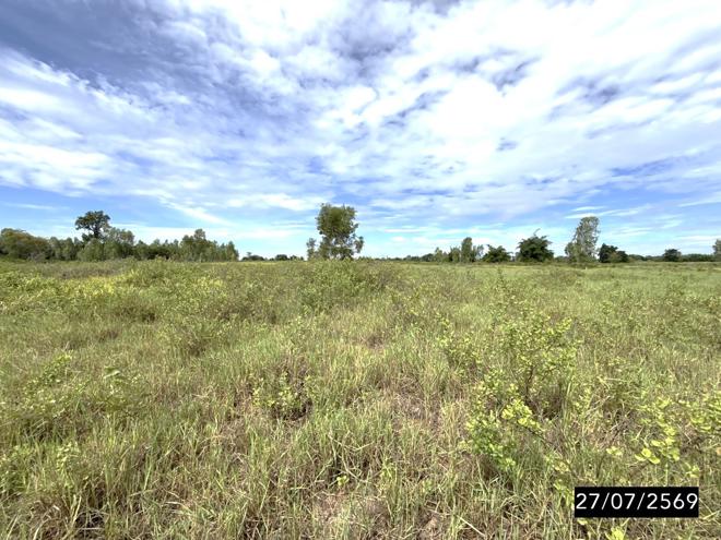 รูป ที่ดินว่างเปล่า 21835 ตร.วา มัญจาคีรี ขอนแก่น 6.6M - รูปที่ 6/19