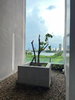 listing thumbnail image 38