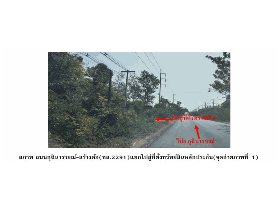picture LAND 54.6 Sq.w. Kuchinarai Kalasin for 495,000 - 2/5