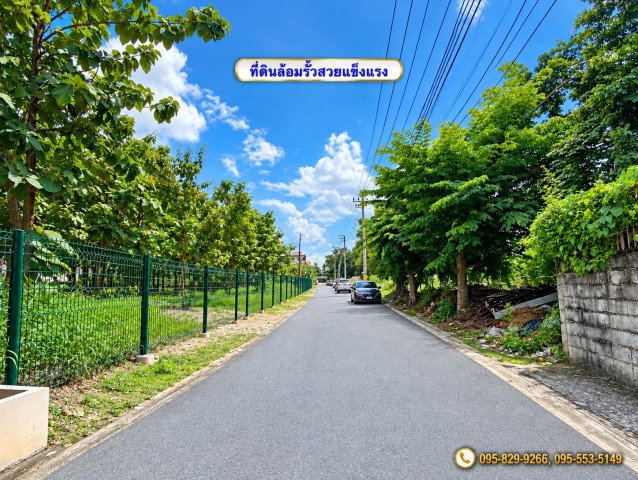 รูป ขายที่ดินถมสูงกว่าถนน น้ำไม่ท่วมที่ดิน 1-3- 57 ไร่ สรงประภา 11  ล้อมรั้วแล้ว เข้าซอยเพียง 240 ม. ทำเลดี ใกล้สนามบิน ดอนเมือง กรุงเทพฯ - รูปที่ 3/8