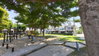 listing thumbnail image 25