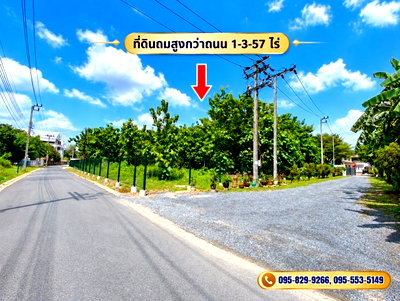 Land for sale Rangsit University : Thailand LAND for sale 1 Rai 3 Ngan 57 Square Wah  37470000 Baht.