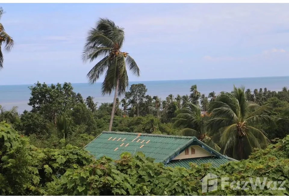picture 2 Bedroom Villa for rent in Maret, Surat Thani  6833811 - 18/22