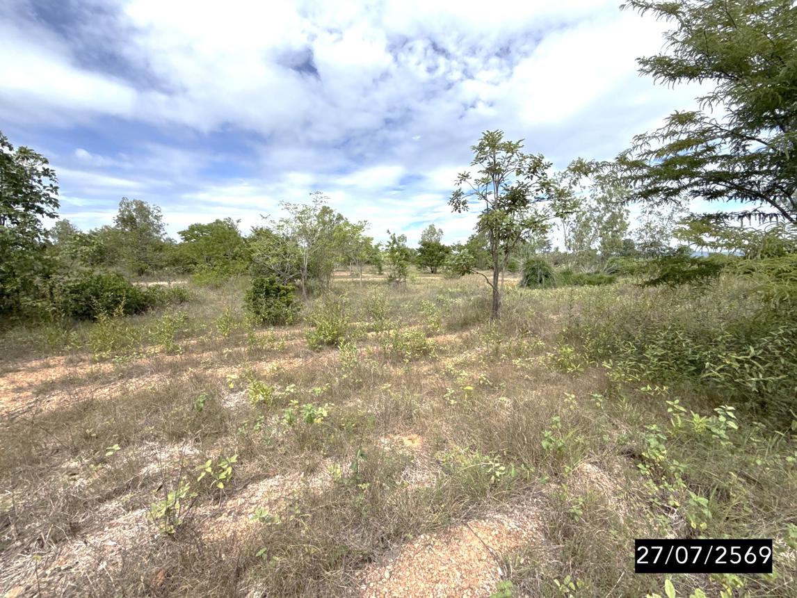 รูป ที่ดินว่างเปล่า 7430 ตร.วา มัญจาคีรี ขอนแก่น 2.8M - รูปที่ 13/19