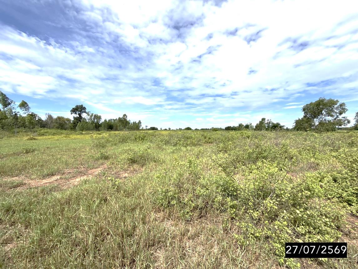 รูป ที่ดินว่างเปล่า 21835 ตร.วา มัญจาคีรี ขอนแก่น 6.6M - รูปที่ 14/19