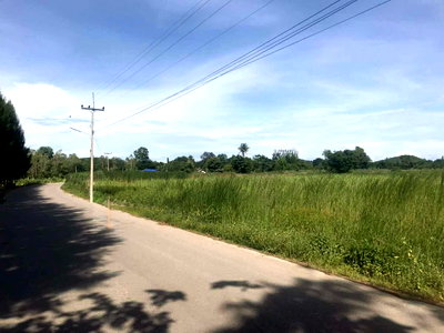 ที่ดิน สวนผึ้ง ราชบุรี : 94506 - ที่ดินเปล่า 24 ไร่ 3 งาน 97.5 ตารางวา ตำบลท่าเคย อำเภอสวนผึ้ง จ.ราชบุรี เหมาะกับลงทุนต่อยอดธุรกิจ