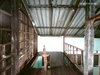listing thumbnail image 25