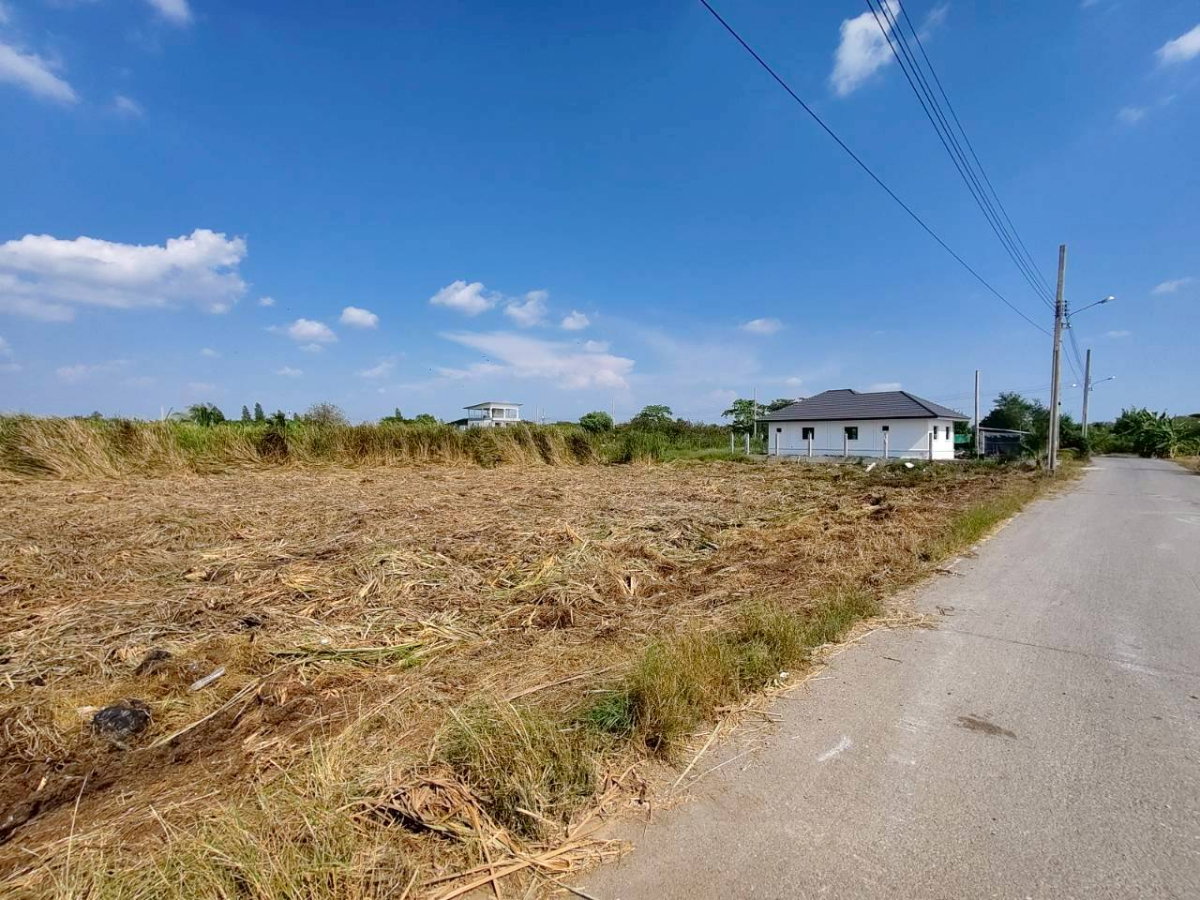 รูป 95614 - ขายที่ดินเปล่า 297 ตร.ว. บางม่วง บางใหญ่ นนทบุรี | ใกล้ตลาด แหล่งชุมชน ราคาตรว.ละ 20,000 บาท เหมาะลงทุน - รูปที่ 2/12