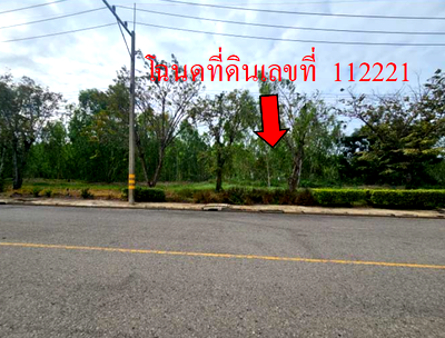 Land for sale Nakhon Pathom : LAND 345.3 Sq.w. Muang Nakhon Pathom Nakhon Pathom for 2.4M