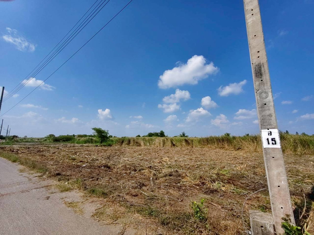 รูป 95614 - ขายที่ดินเปล่า 297 ตร.ว. บางม่วง บางใหญ่ นนทบุรี | ใกล้ตลาด แหล่งชุมชน ราคาตรว.ละ 20,000 บาท เหมาะลงทุน - รูปที่ 8/12