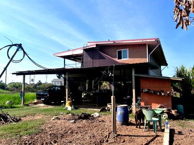 บ้านเดี่ยว สิงห์บุรี : 95546 - ขายบ้านสวน 2 ชั้น พร้อมที่ดิน 4 ไร่ 3 งาน 5 ตรว. อ.พรหมบุรี จ.สิงห์บุรี ติดถนนทางหลวงหมายเลข 309