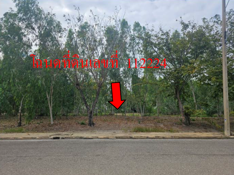 picture LAND 374.6 Sq.w. Muang Nakhon Pathom Nakhon Pathom for 2.6M - 9/12