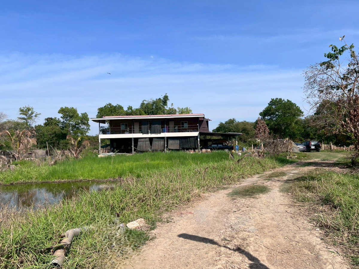 รูป 95546 - ขายบ้านสวน 2 ชั้น พร้อมที่ดิน 4 ไร่ 3 งาน 5 ตรว. อ.พรหมบุรี จ.สิงห์บุรี ติดถนนทางหลวงหมายเลข 309 - รูปที่ 11/12