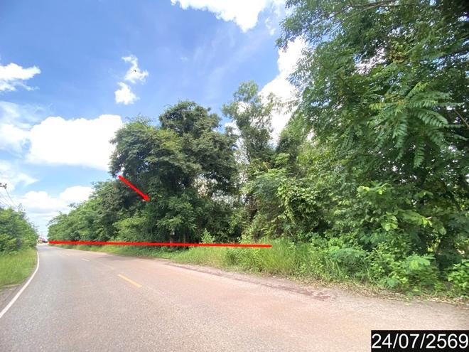 รูป ที่ดินว่างเปล่า 17988 ตร.วา เมืองหนองคาย หนองคาย 23M - รูปที่ 9/21