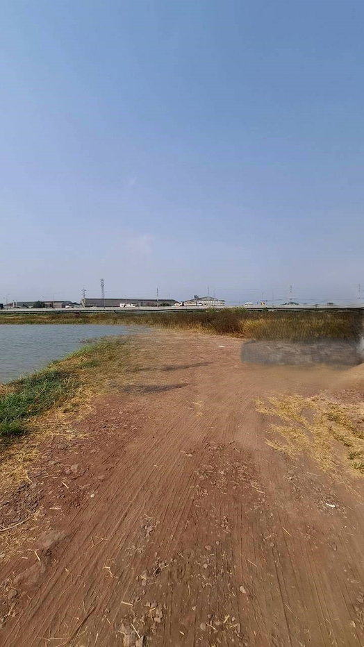 รูป 95704 - ขาย ที่ดินจัดสรร 79 ตรว.ใกล้วัดหัวกระบือ, ท่าข้าม, พระราม2,กรุงเทพฯ ใกล้ทางด่วนพระราม - รูปที่ 2/8