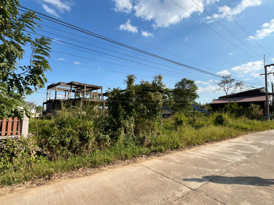 รูป 95278 - ขายที่ดินเปล่า จังหวัดเชียงราย - รูปที่ 6/12