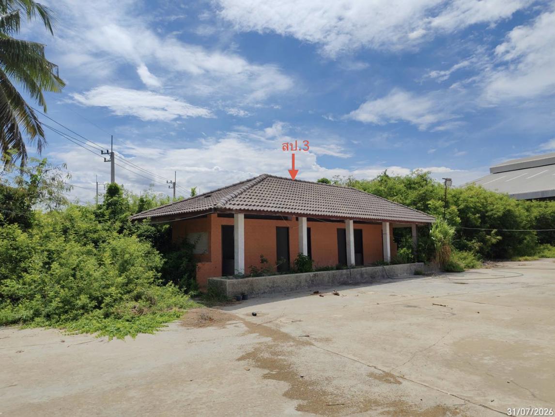 picture FACTORY 11442.2 Sq.w. Doembang Nangbuat Suphanburi for 81.3M - 24/37