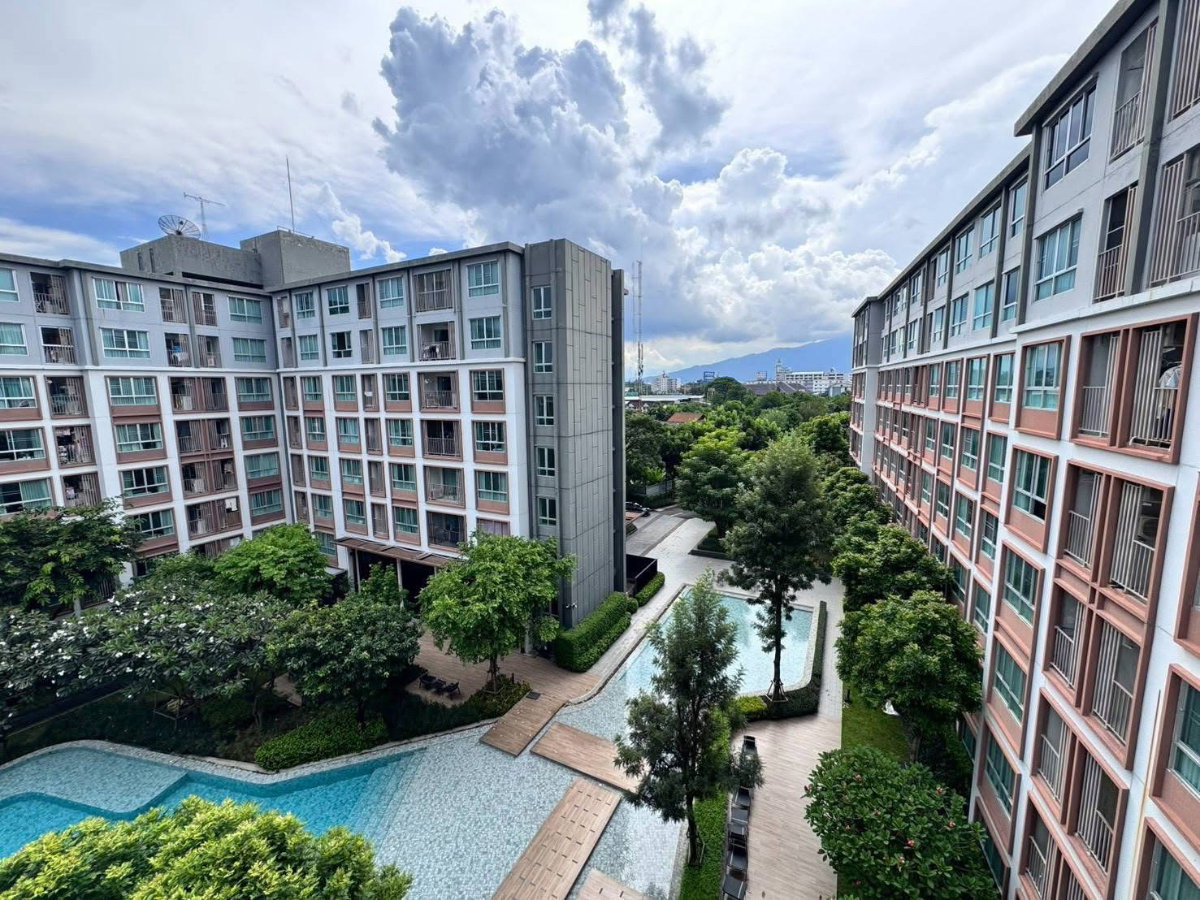 picture ✅ For Rent: dcondo Ping, Building B, 5th Floor, 60 sq.m. — 24,000 Baht. Mountain & pool view. ☎️ 064-792-4426 (Ben) - 4/17