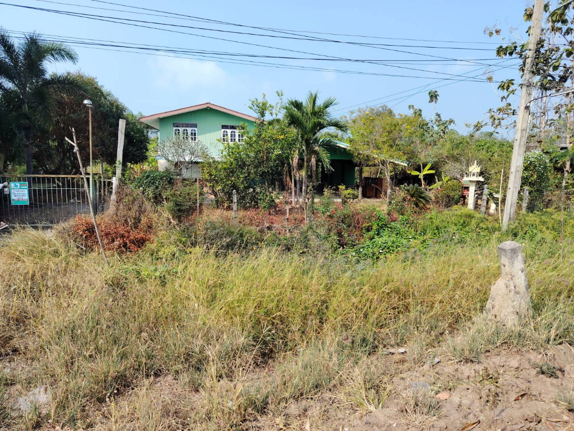 รูป 95719 - ขายบ้านสวนพื้นที่กว้าง 370 ตร.ว. บรรยากาศร่มรื่น ต.หนองแหน อ.พนมสารคาม จ.ฉะเชิงเทรา - รูปที่ 10/10