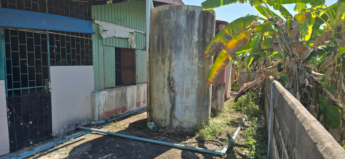 รูป 95719 - ขายบ้านสวนพื้นที่กว้าง 370 ตร.ว. บรรยากาศร่มรื่น ต.หนองแหน อ.พนมสารคาม จ.ฉะเชิงเทรา - รูปที่ 3/10