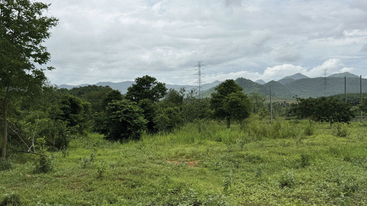 รูป ขายที่ดิน 2 ไร่ 1 งาน บ้านสวนวิวเขาสามร้อยยอด ประจวบฯ วิวภูเขาพาโนรามา 6 โฉนดครุฑแดง - รูปที่ 7/9