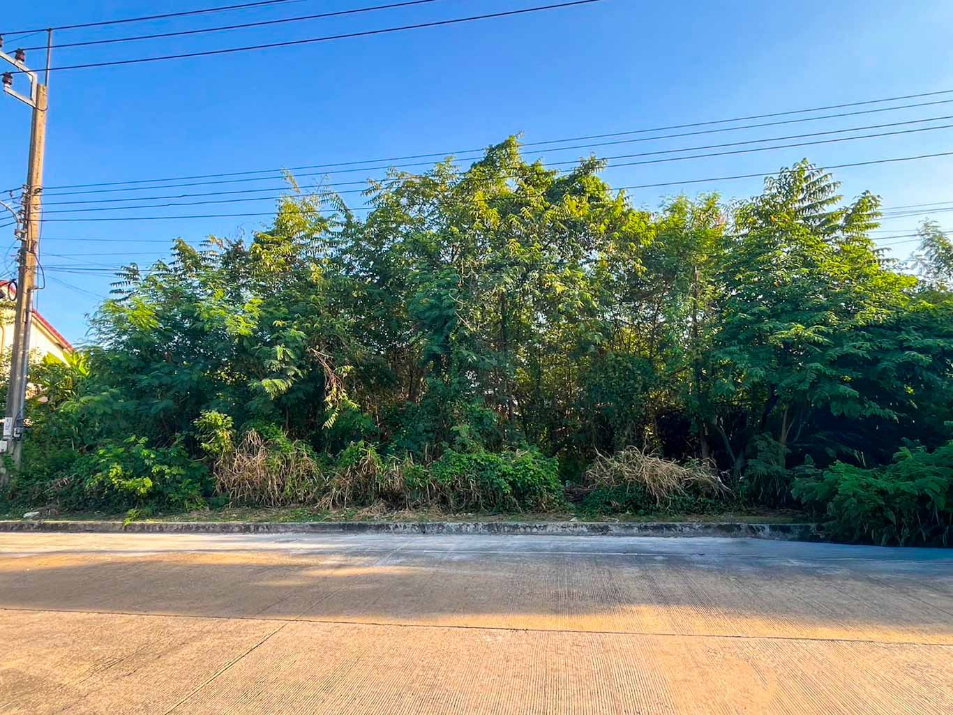 รูป ขาย ที่ดินเปล่า Floraville Park City สุวินทวงศ์ 38 ขนาด 80 ตรว ใกล้ มีนบุรี ร่มเกล้า ฉลองกรุง เชื่อมสัมพันธ์ กฟผ.หนองจอก : KT26S-015 - รูปที่ 3/5