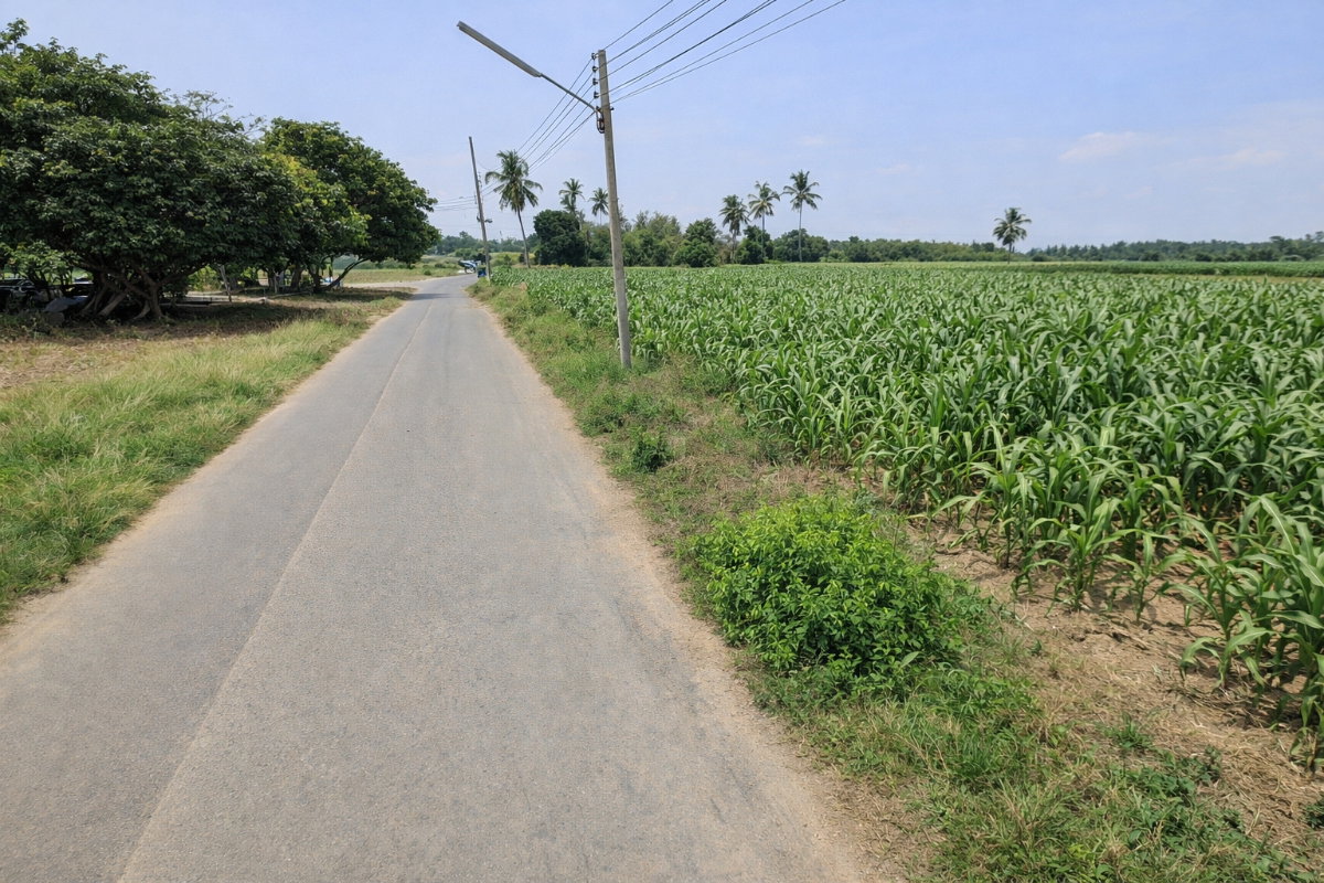 รูป 95531 - ขาย ที่ดินแปลงใหญ่ ติดถนนลาดยาง ต.วังขนาย อ.ท่าม่วง จ.กาญจนบุรี - รูปที่ 2/9