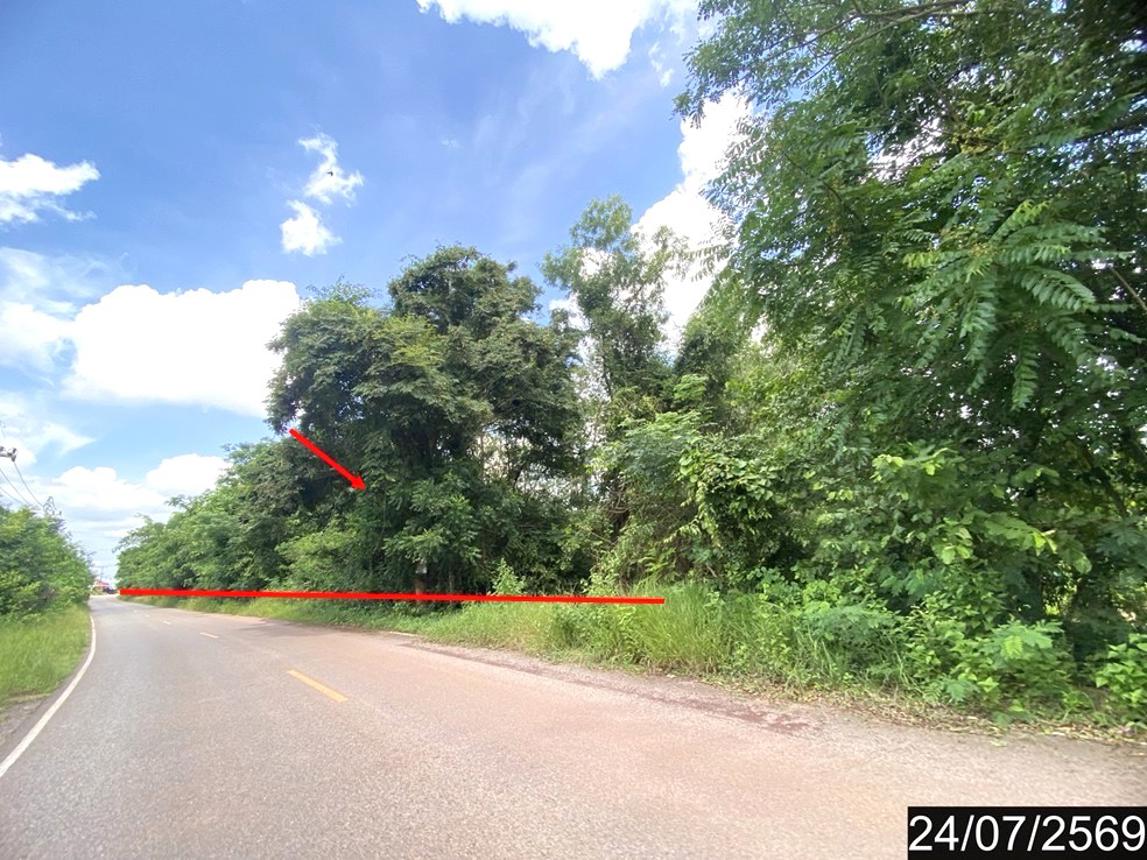 รูป ที่ดินว่างเปล่า 17988 ตร.วา เมืองหนองคาย หนองคาย 23M - รูปที่ 17/21