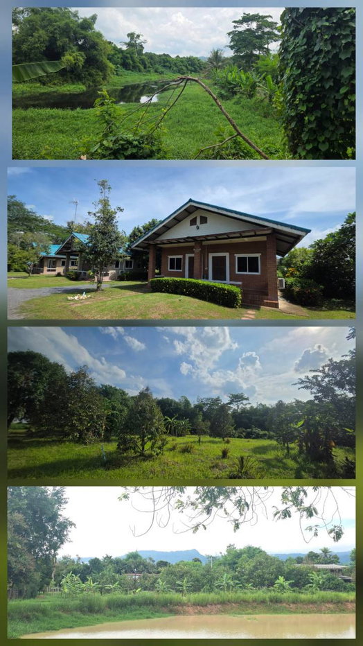 รูป เจ้าของขายเอง ที่สูงน้ำไม่ท่วม 32 ไร่ ทำเลดี หน้ากว้างติดถนน ด้านหลังติดแม่น้ำใกล้แหล่งท่องเที่ยว พร้อมโอนทันที - รูปที่ 15/15