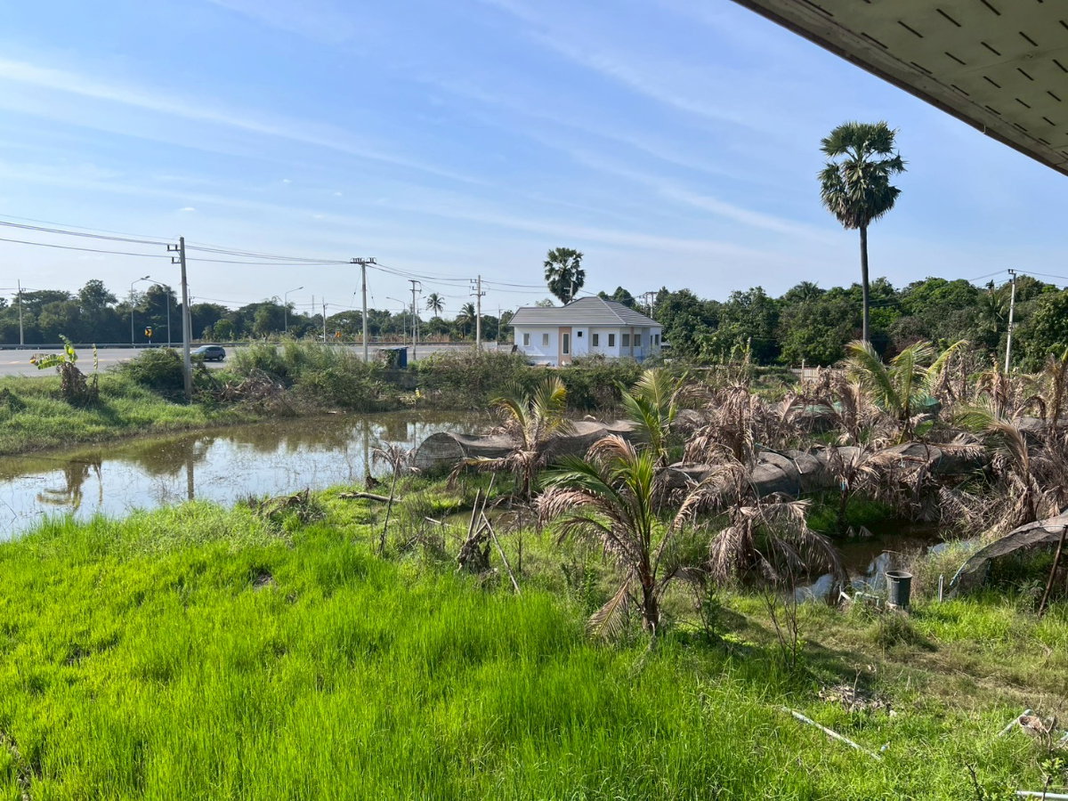 รูป 95546 - ขายบ้านสวน 2 ชั้น พร้อมที่ดิน 4 ไร่ 3 งาน 5 ตรว. อ.พรหมบุรี จ.สิงห์บุรี ติดถนนทางหลวงหมายเลข 309 - รูปที่ 9/12