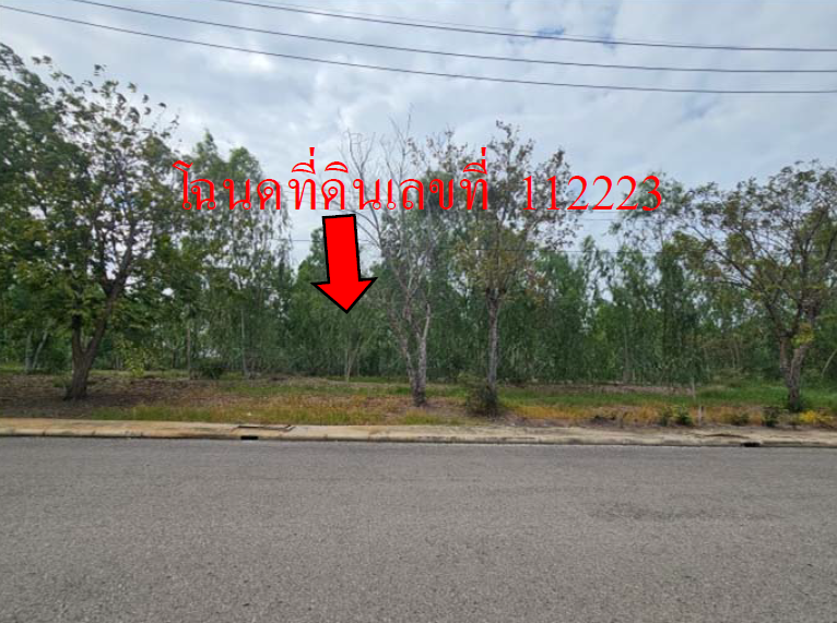 picture LAND 393.2 Sq.w. Muang Nakhon Pathom Nakhon Pathom for 2.7M - 9/11