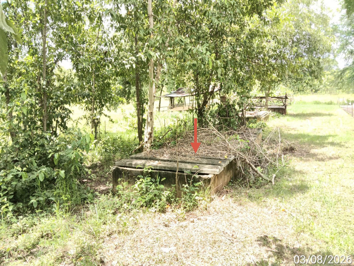 picture FACTORY 842.8 Sq.w. Muang Phrae Phrae for 29.2M - 32/39