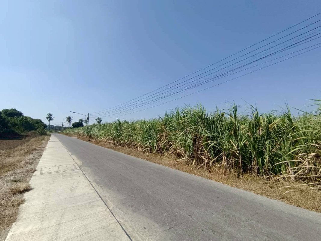 รูป 95531 - ขาย ที่ดินแปลงใหญ่ ติดถนนลาดยาง ต.วังขนาย อ.ท่าม่วง จ.กาญจนบุรี - รูปที่ 8/9