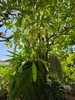 listing thumbnail image 18