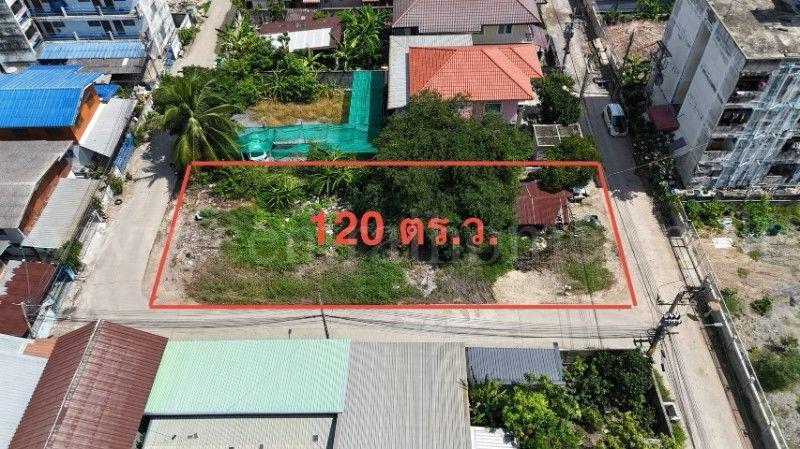 รูป ที่ดิน ซอยเรณูอุทิศ ลาดหลุมแก้ว 120 ตารางวา ติดถนน 3 ด้าน ห่างถนนใหญ่เพียงประมาณ 100 เมตร - รูปที่ 10/10