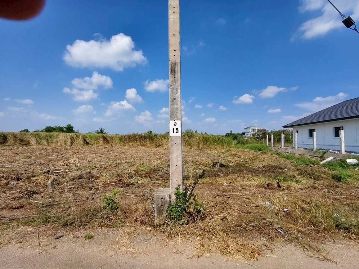 รูป 95614 - ขายที่ดินเปล่า 297 ตร.ว. บางม่วง บางใหญ่ นนทบุรี | ใกล้ตลาด แหล่งชุมชน ราคาตรว.ละ 20,000 บาท เหมาะลงทุน - รูปที่ 7/12